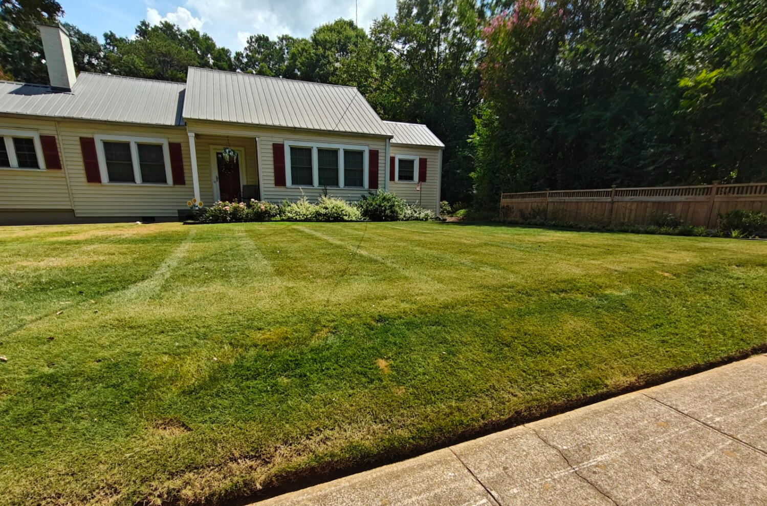 Freshly mowed and edged residential lawn in Athens, GA by Heavenly Cuts Lawn Care