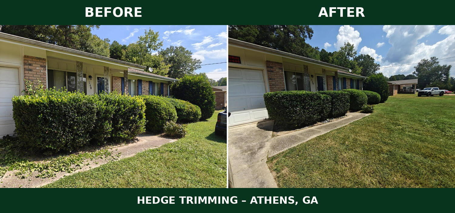 Freshly mowed and edged residential lawn in Athens, GA by Heavenly Cuts Lawn Care