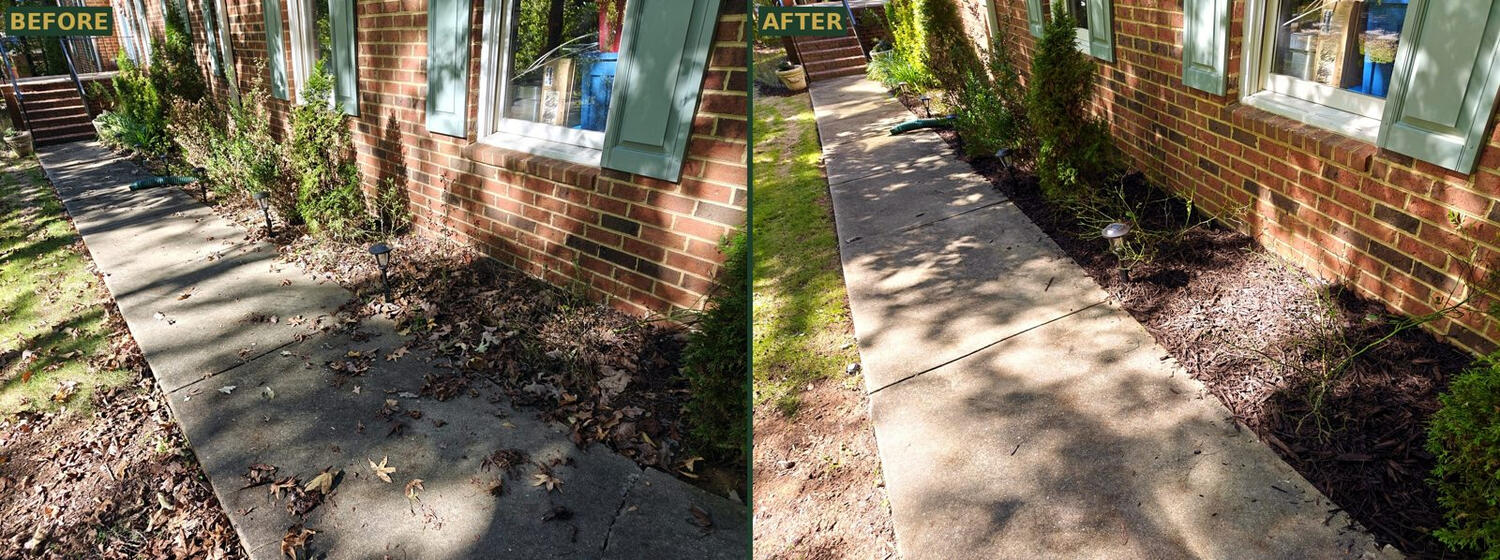 Before and after brown mulch install along a front walkway in Athens, GA by Heavenly Cuts Lawn Care