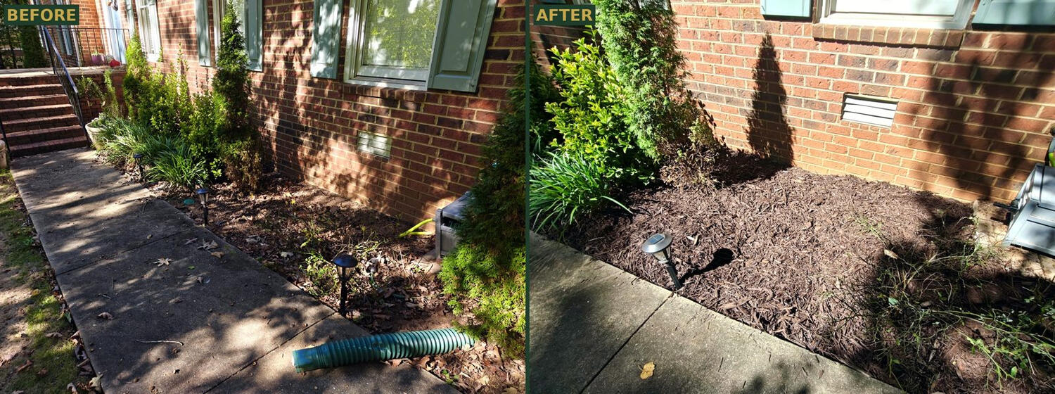 Before and after mulch bed cleanup by the front steps in Athens, GA